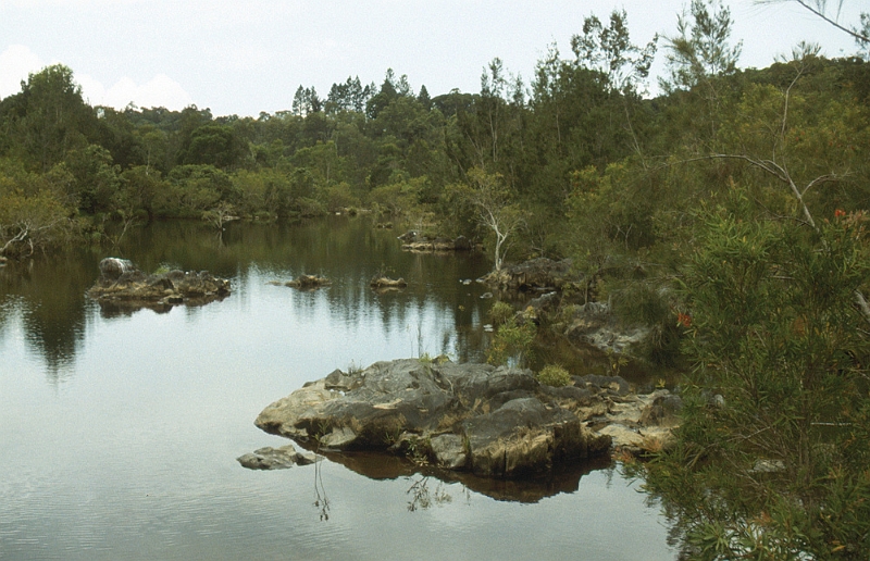 661_Langs de rivier achter Kuranda.jpg